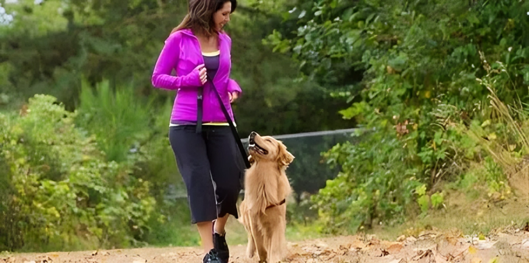 The Ultimate Guide to Dog Walking in McKinney, Texas: Services, Trails & Tips
