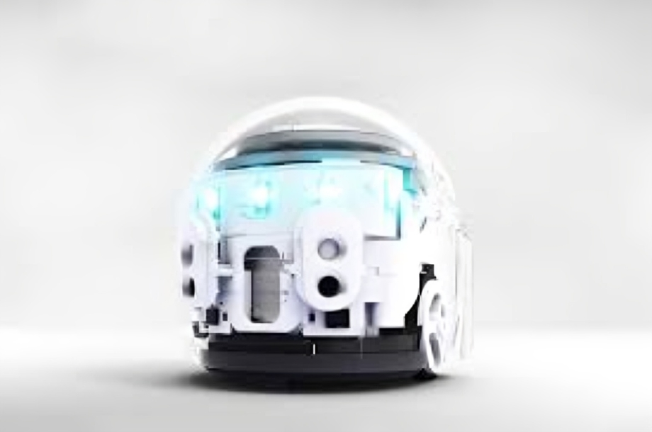 Evo Robots: The Future of Evolutionary Robotics and Intelligent Machines